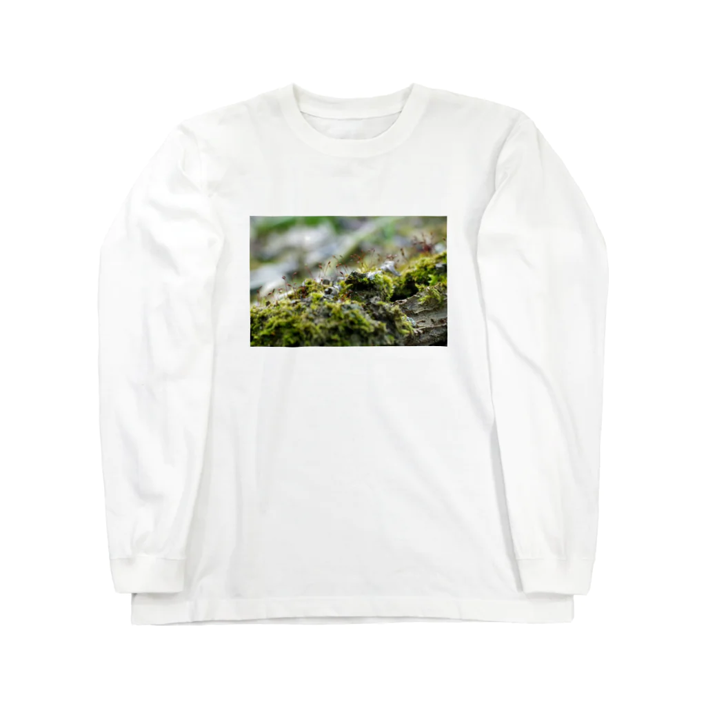 ﾛｯﾄﾓｰﾝﾄの苔むした Long Sleeve T-Shirt