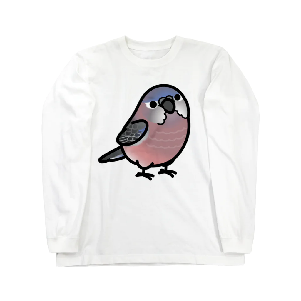 Cody the LovebirdのChubby Bird　アキクサインコ Long Sleeve T-Shirt