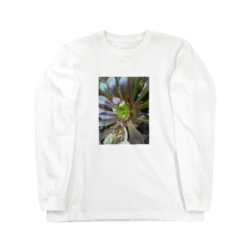 ミクロの多肉植物の黒法師 Long Sleeve T-Shirt