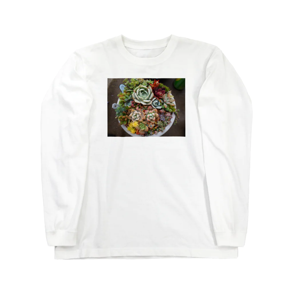 みきまるの写真の多肉植物寄せ植え Long Sleeve T-Shirt