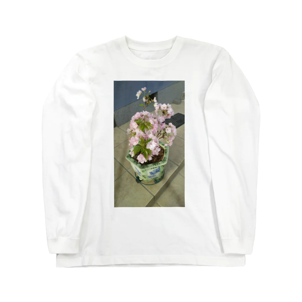 蓮花な日々 猫とお花たちの桜柄 Long Sleeve T-Shirt