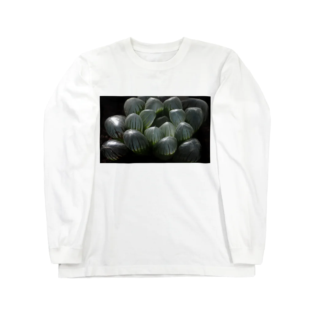 aomatuのハオルチア　オブツーサ系4「ドドソン紫オブツーサ」 Long Sleeve T-Shirt