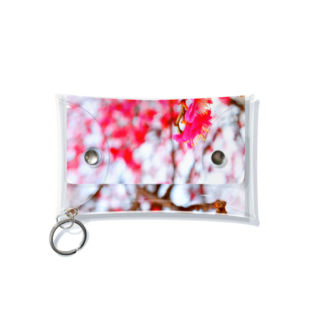 dandelionの紅梅 Mini Clear Multipurpose Case