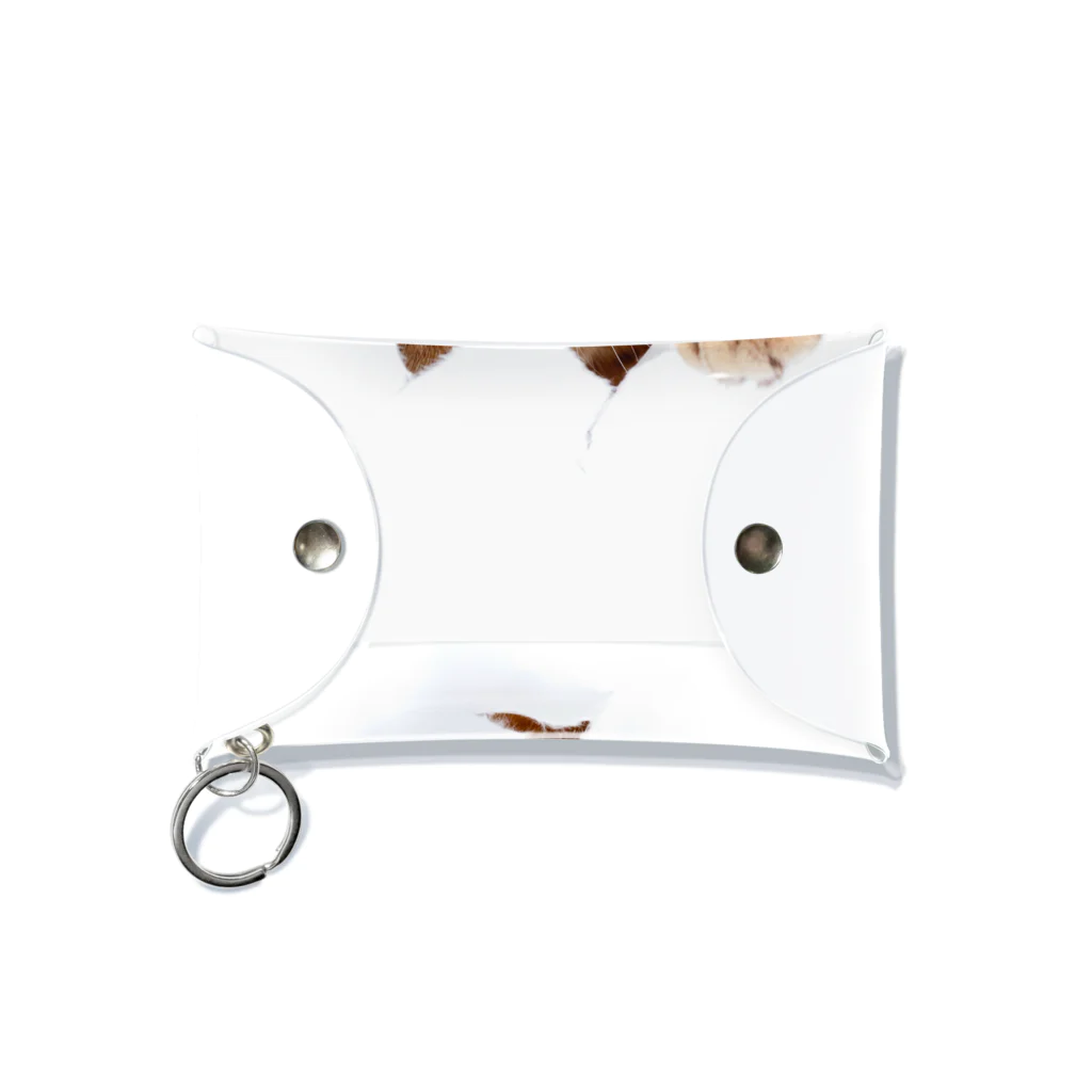 ただの猫好きのWhite Free Cute Funny Cat T-shirt Mini Clear Multipurpose Case