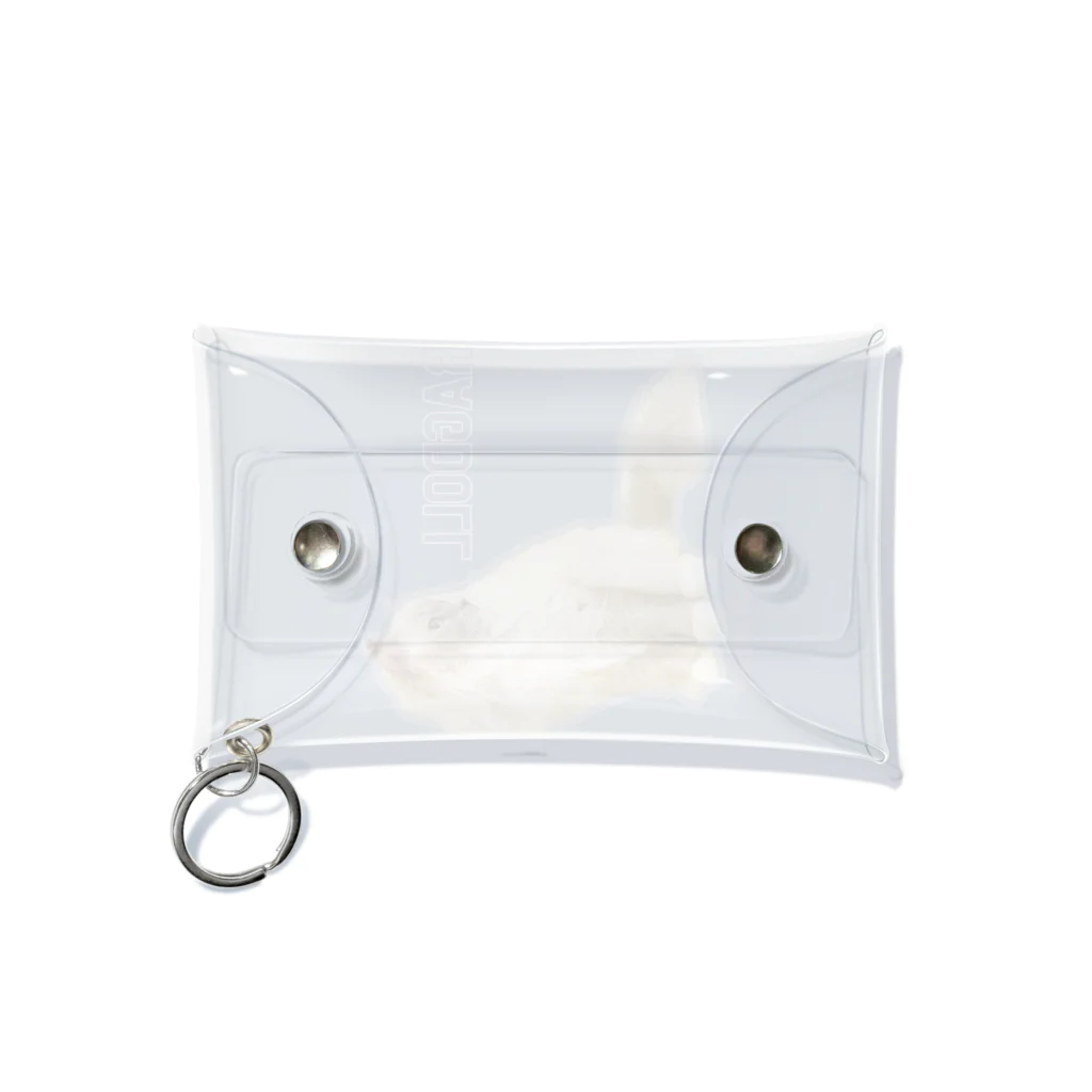 cocomaryのcocomary Mini Clear Multipurpose Case