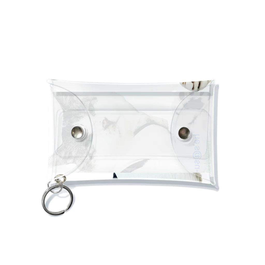 OBATAKEのsu-pi Mini Clear Multipurpose Case