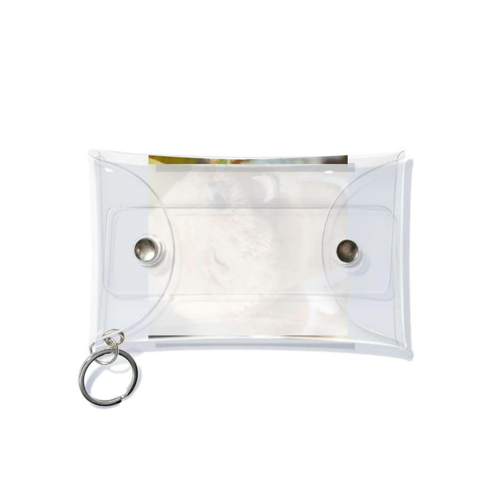 あすたんしょっぷのにっこにこわんわん Mini Clear Multipurpose Case