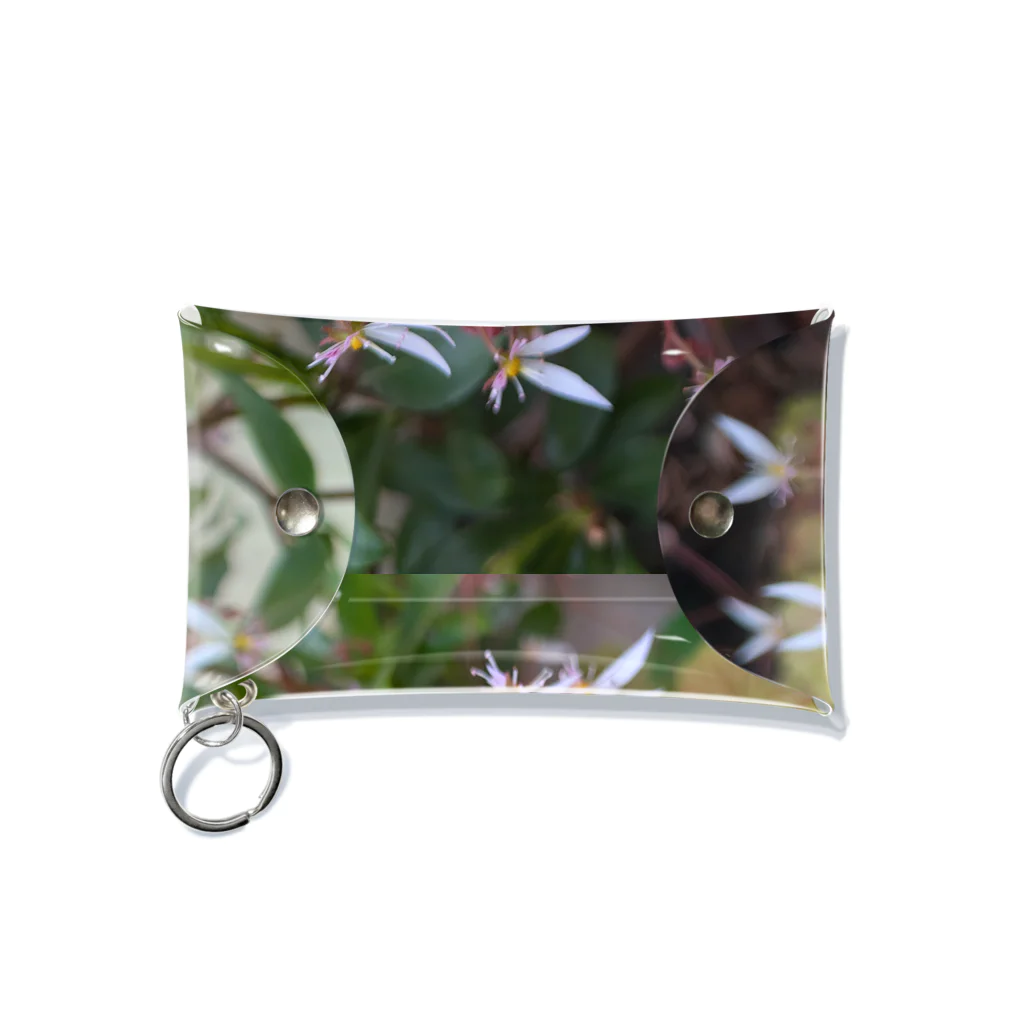 ミクロのユキノシタのお花が可愛らしい〜 Mini Clear Multipurpose Case