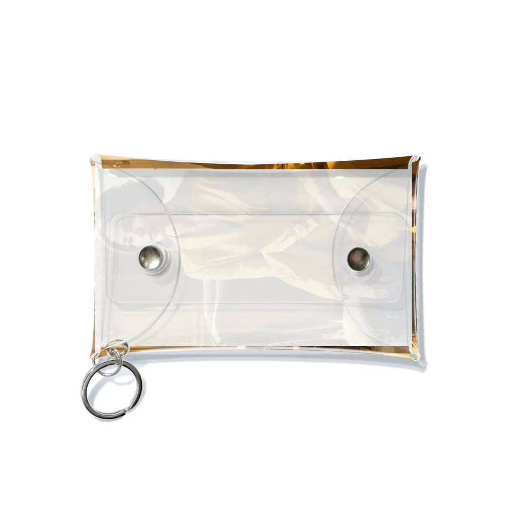 saoc11039の上品 Mini Clear Multipurpose Case