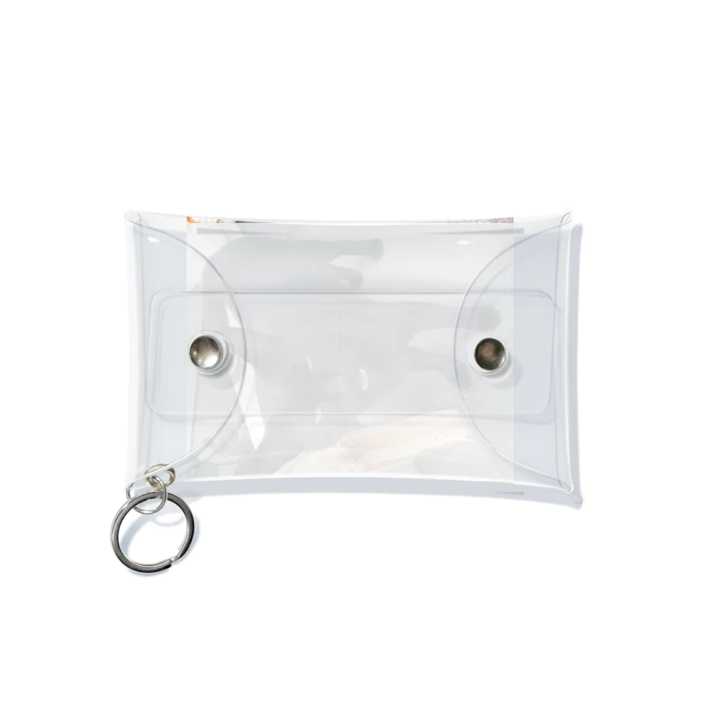 nightwalkerの黒ひょうぜッッ！ Mini Clear Multipurpose Case