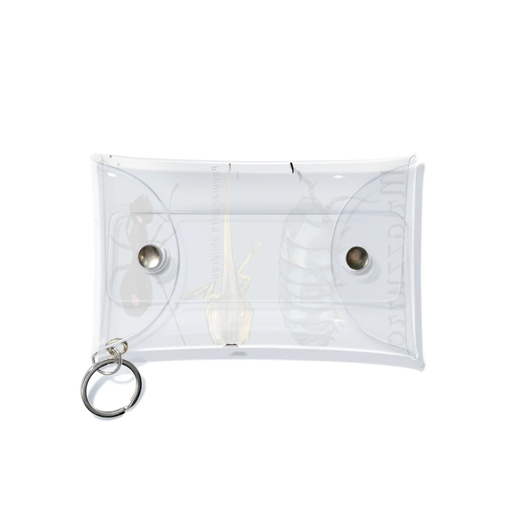 Mr.azzurroのPopular with children Mini Clear Multipurpose Case