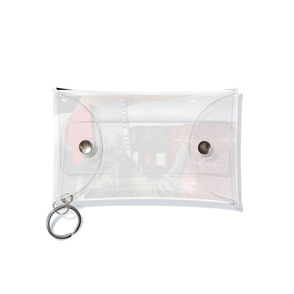 かぴのあたし、弾くわ Mini Clear Multipurpose Case