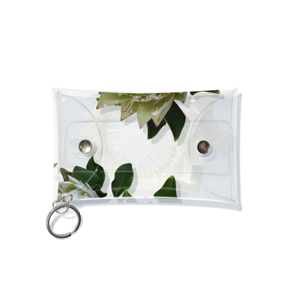flower & Plants EdenのWild Flower キングプロテア Mini Clear Multipurpose Case