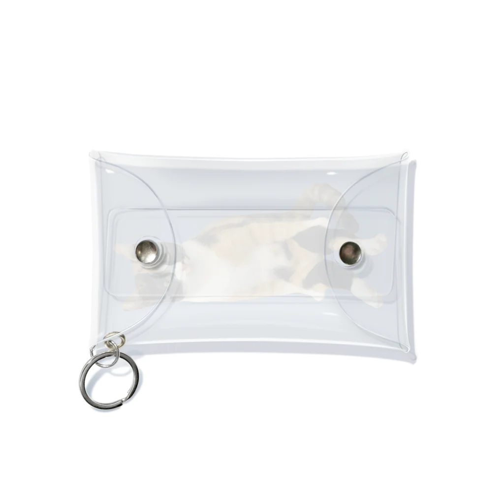 AtelierGluckのみーたん Mini Clear Multipurpose Case