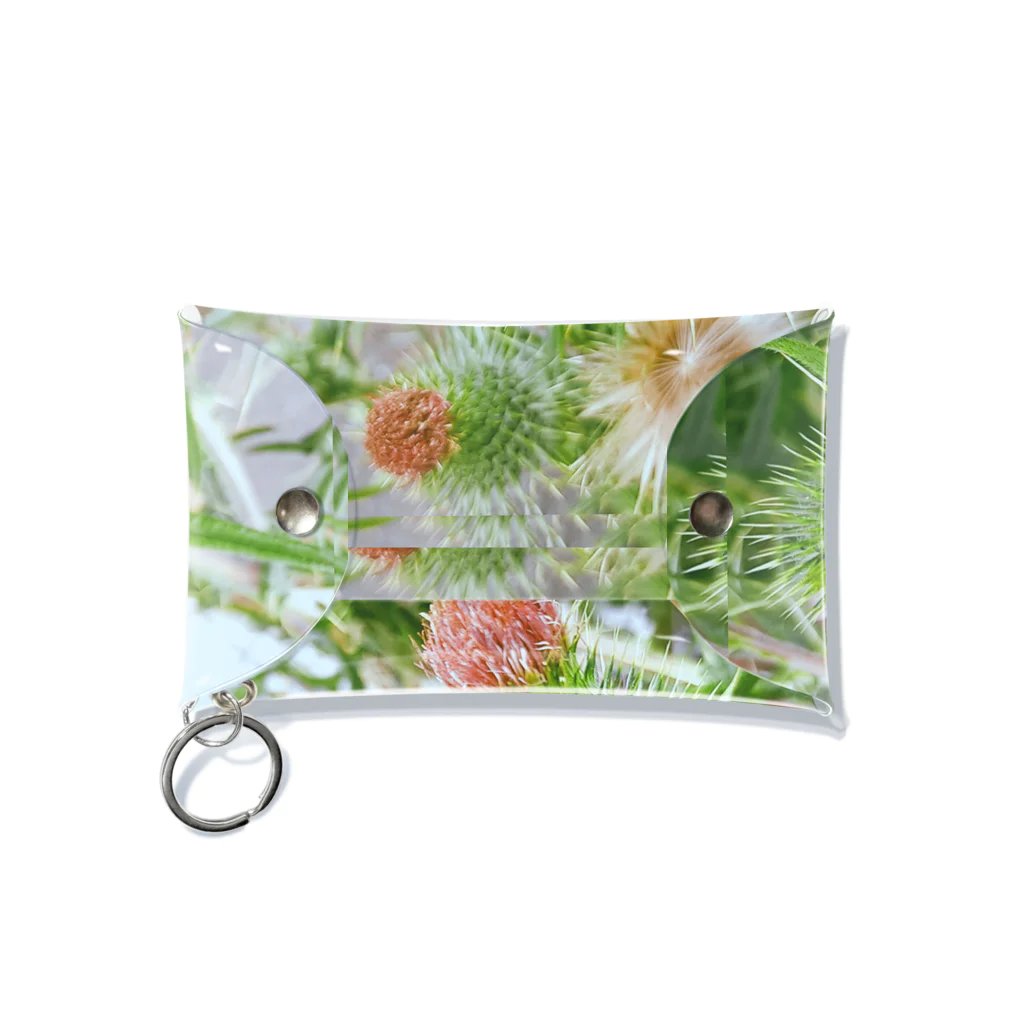 五縁屋　UMeKOのノアザミ　花縁屋UMeKO Mini Clear Multipurpose Case