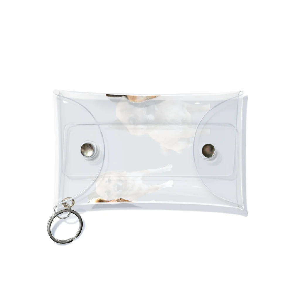 TAKA SHOPのタロジログッズ Mini Clear Multipurpose Case