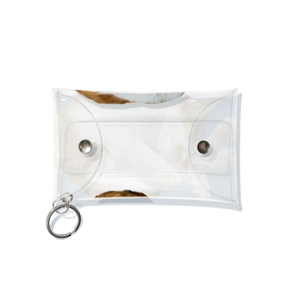 mellokkomaのえび風コマ Mini Clear Multipurpose Case