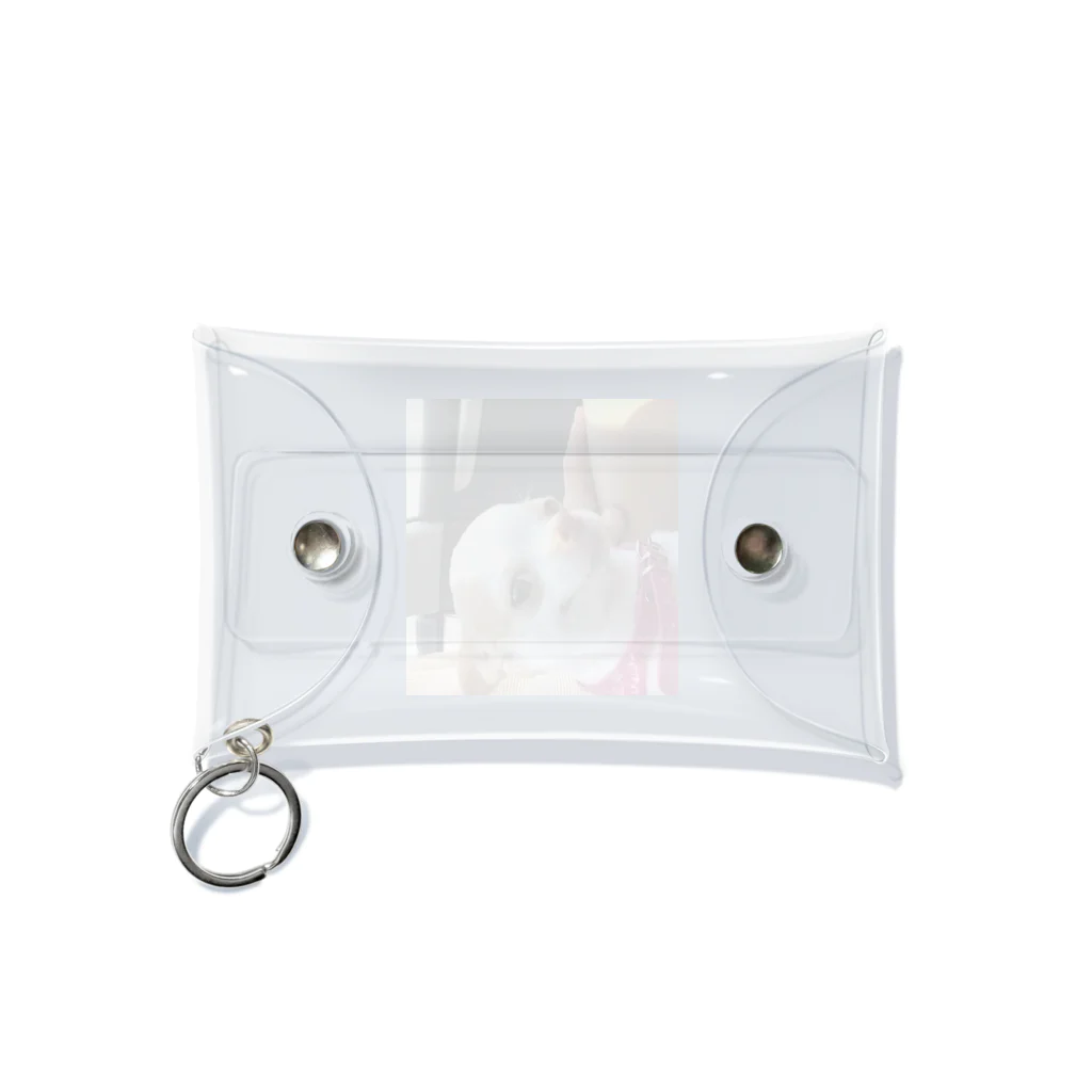 Chihuahua shopのChihuahua Mini Clear Multipurpose Case