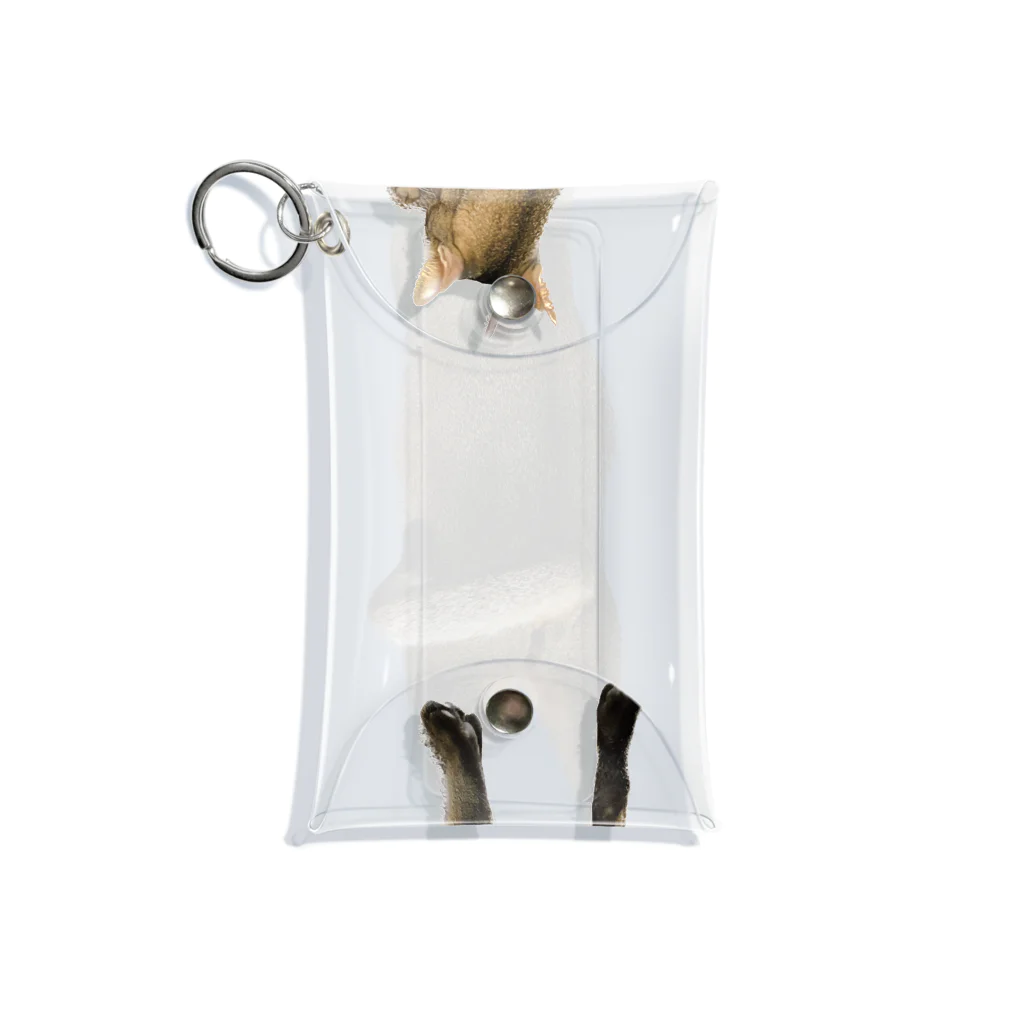 QDAのQAMALくん Mini Clear Multipurpose Case