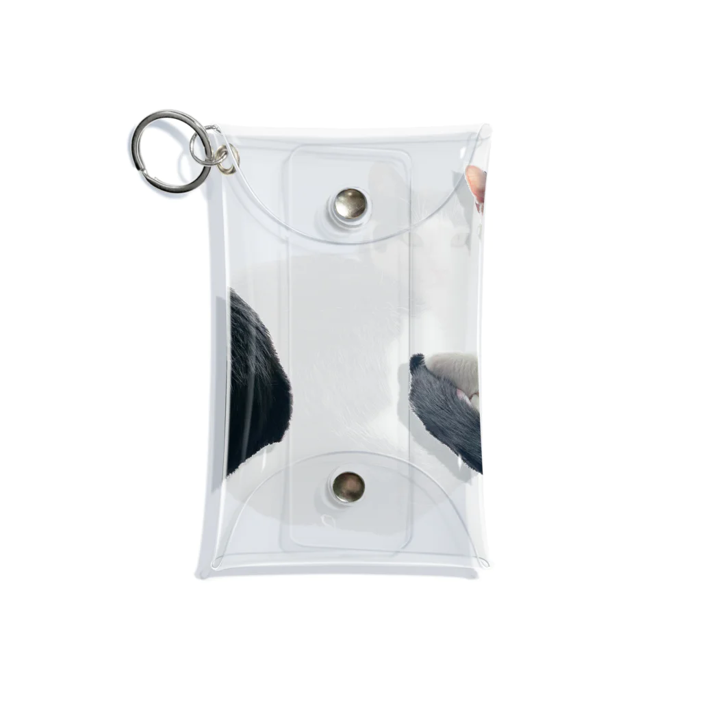 QDAのDAIZU Mini Clear Multipurpose Case