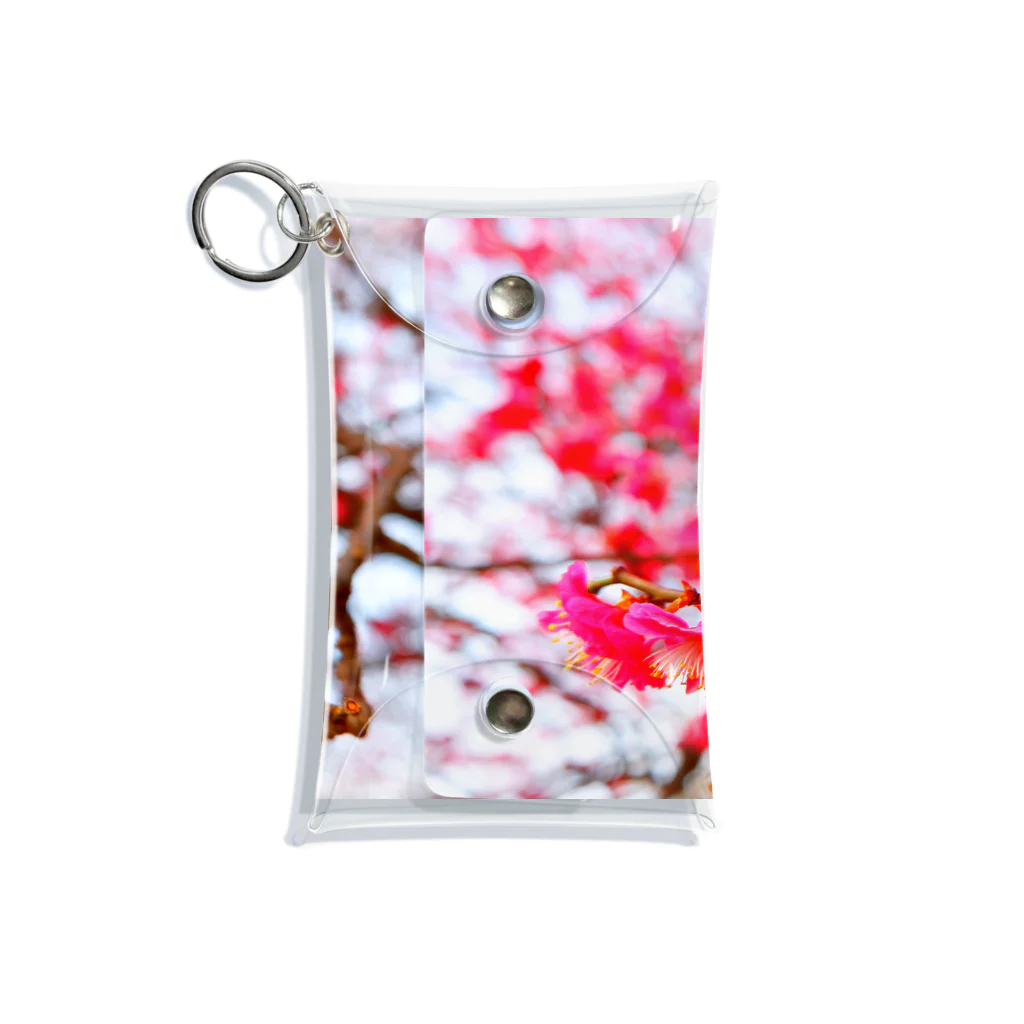 dandelionの紅梅 Mini Clear Multipurpose Case