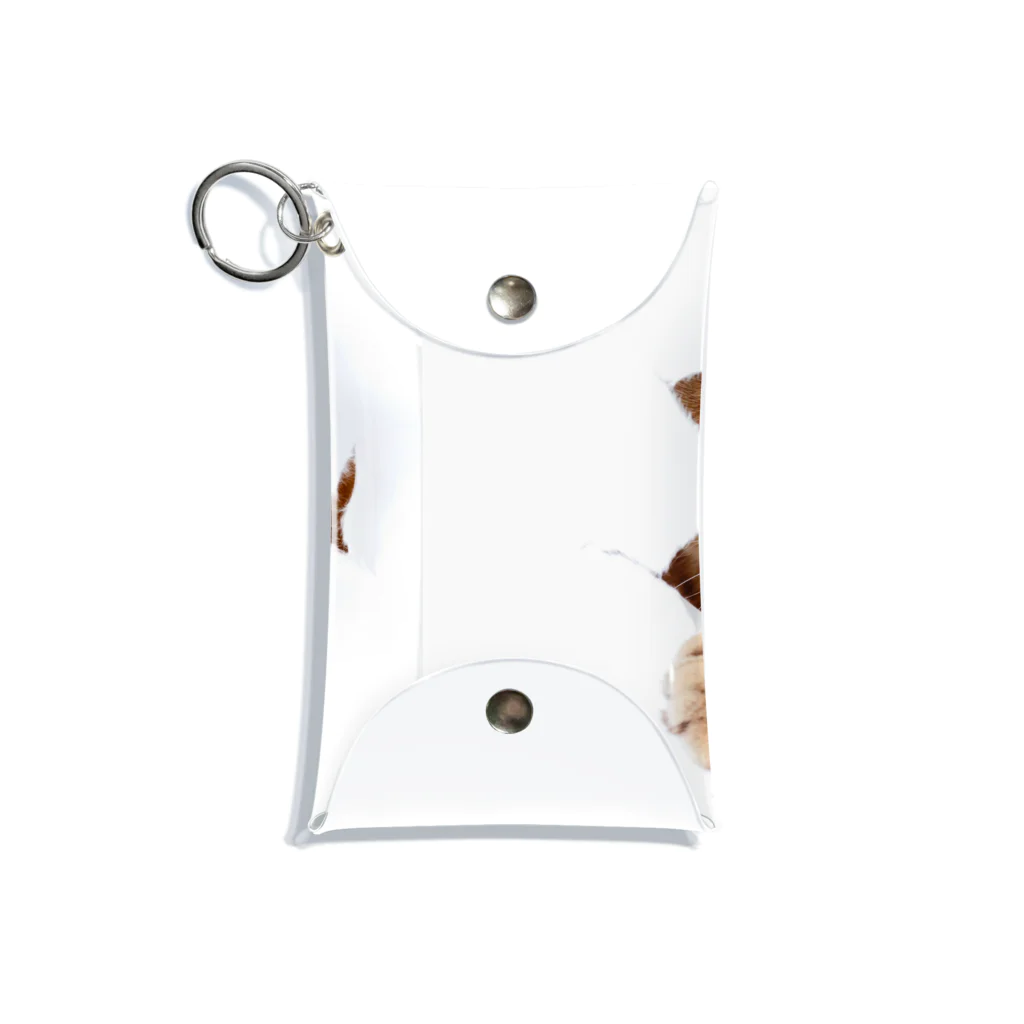 ただの猫好きのWhite Free Cute Funny Cat T-shirt Mini Clear Multipurpose Case