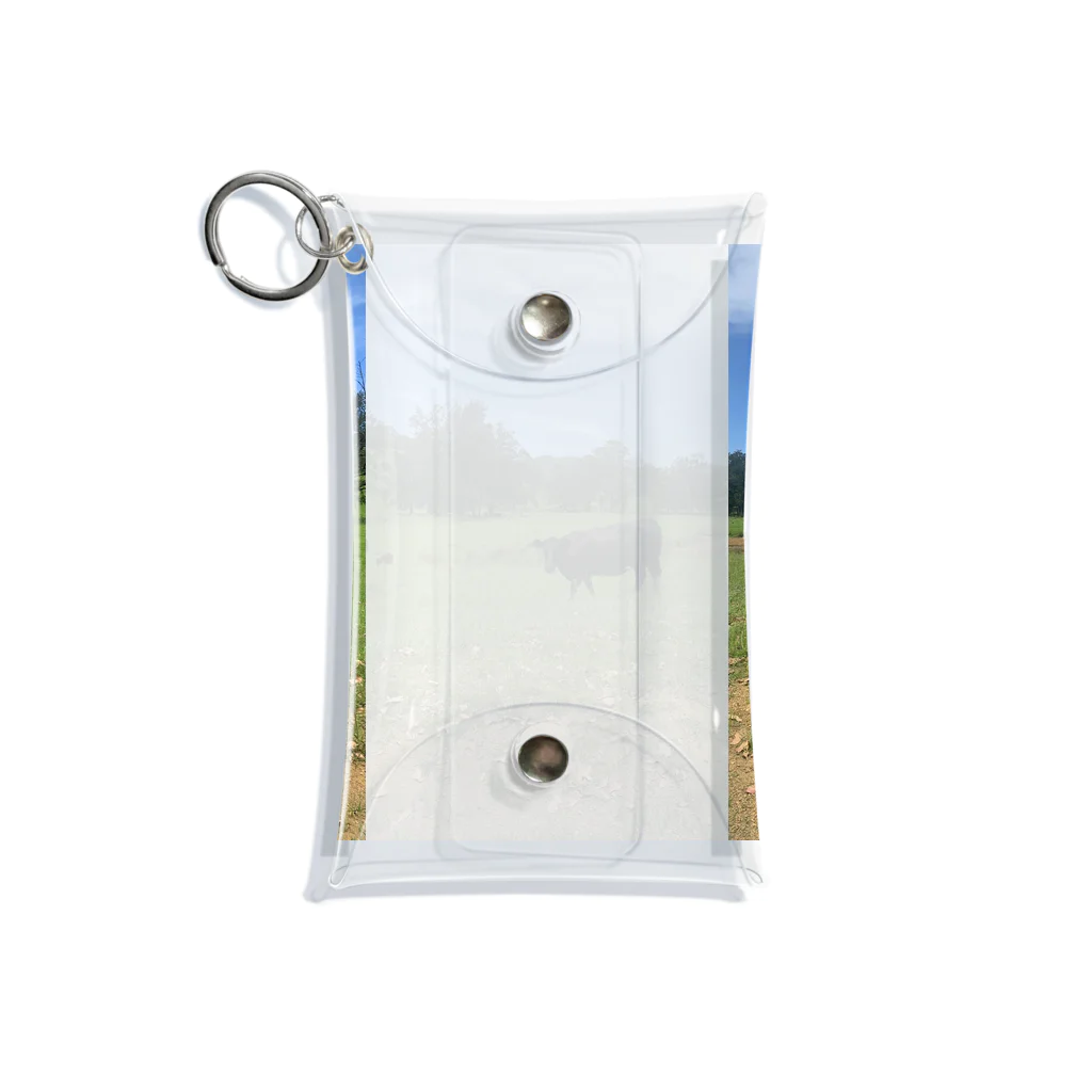 YASUE ABE JPのFarm Mini Clear Multipurpose Case