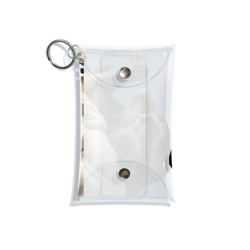 O₂のべり Mini Clear Multipurpose Case