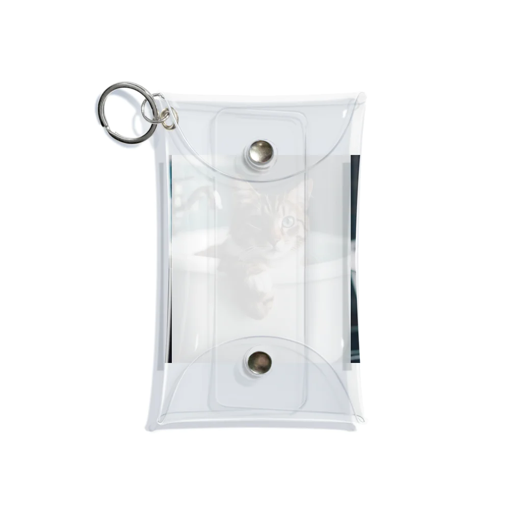 shopSHOPの猫の入浴 Mini Clear Multipurpose Case