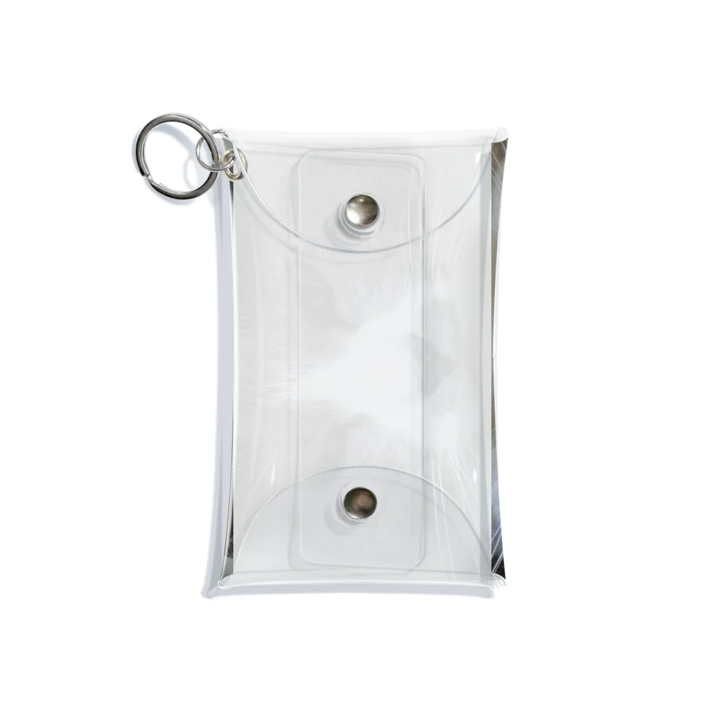 shindyのぶちこ Mini Clear Multipurpose Case