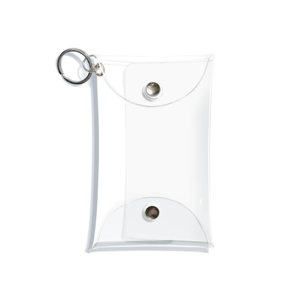 T-TAKEのse-na Mini Clear Multipurpose Case