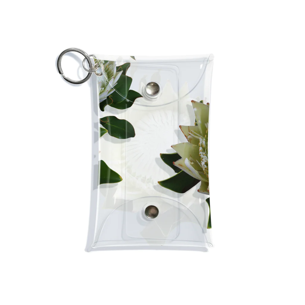 flower & Plants EdenのWild Flower キングプロテア Mini Clear Multipurpose Case