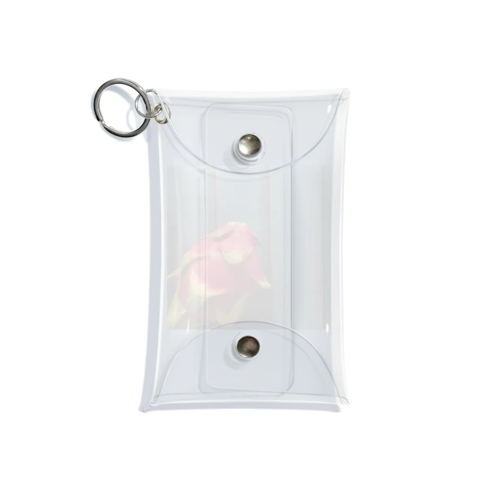 hitosaramonogatari＊shopのドラゴンフルーツ Mini Clear Multipurpose Case