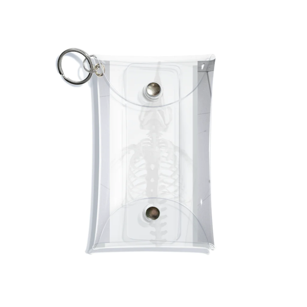 mugiの202003_iwaki2 Mini Clear Multipurpose Case