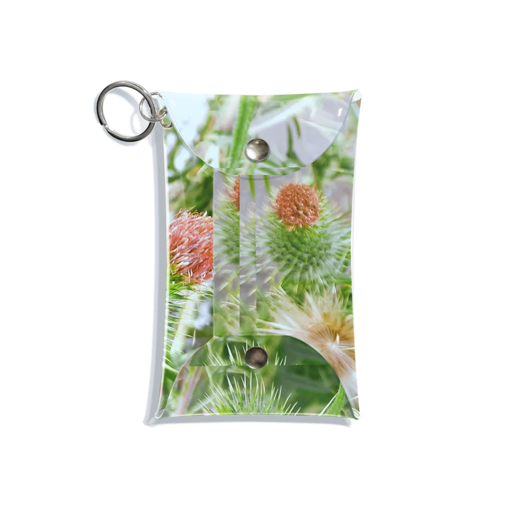 五縁屋　UMeKOのノアザミ　花縁屋UMeKO Mini Clear Multipurpose Case