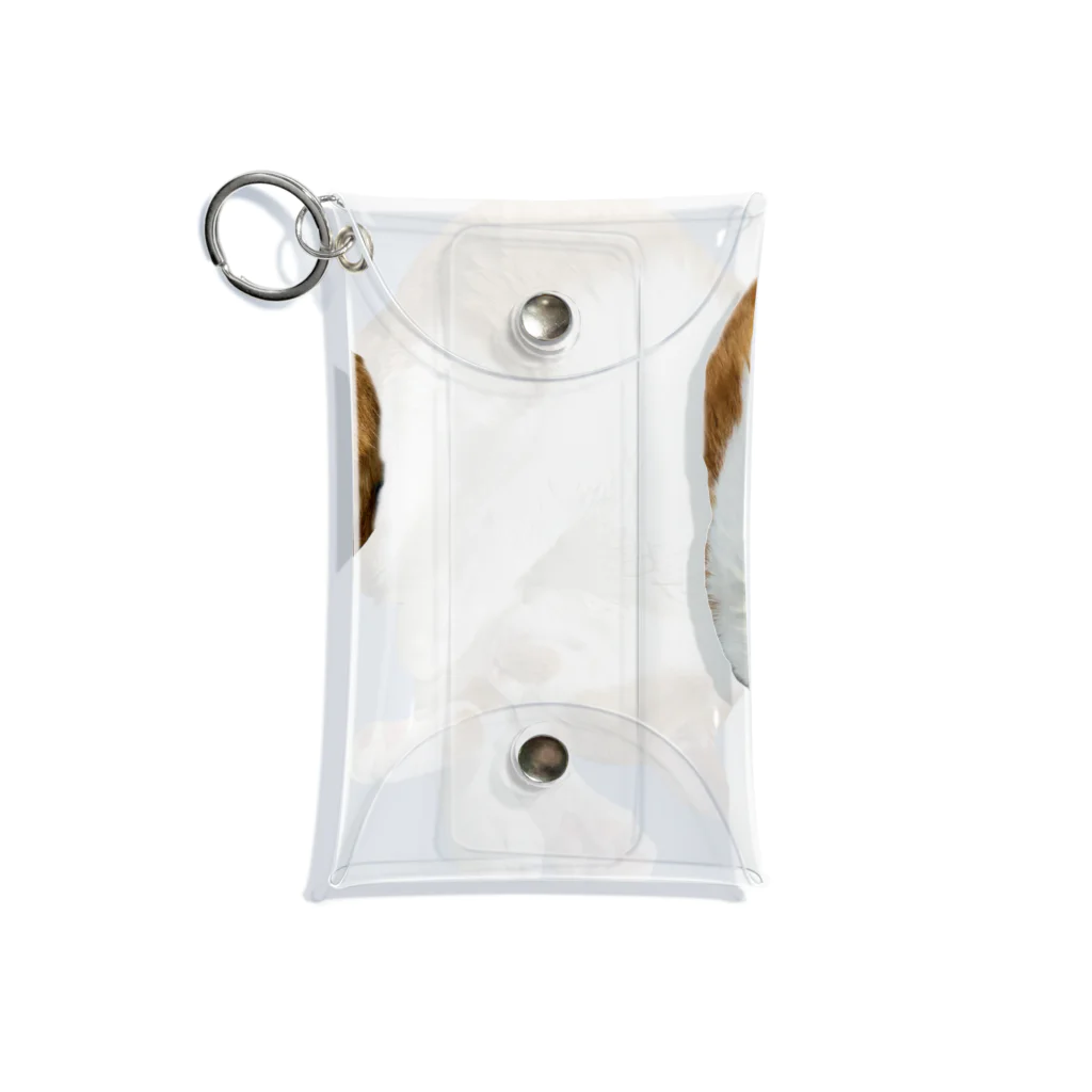mellokkomaのえび風コマ Mini Clear Multipurpose Case