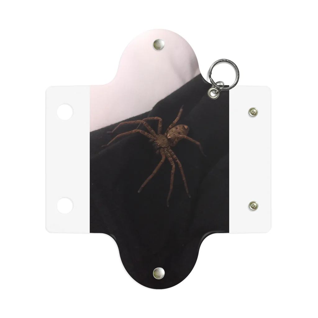 Japanese_Bee8のspider Mini Clear Multipurpose Case