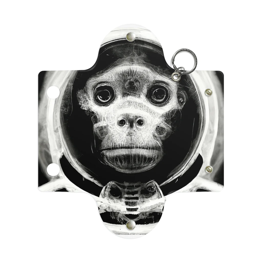 Eye2EyeのSpace Monkey #2 Mini Clear Multipurpose Case