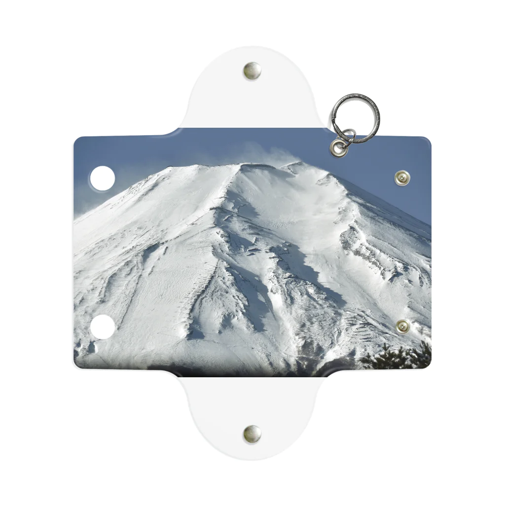 下田村の冠雪した富士山_003 Mini Clear Multipurpose Case