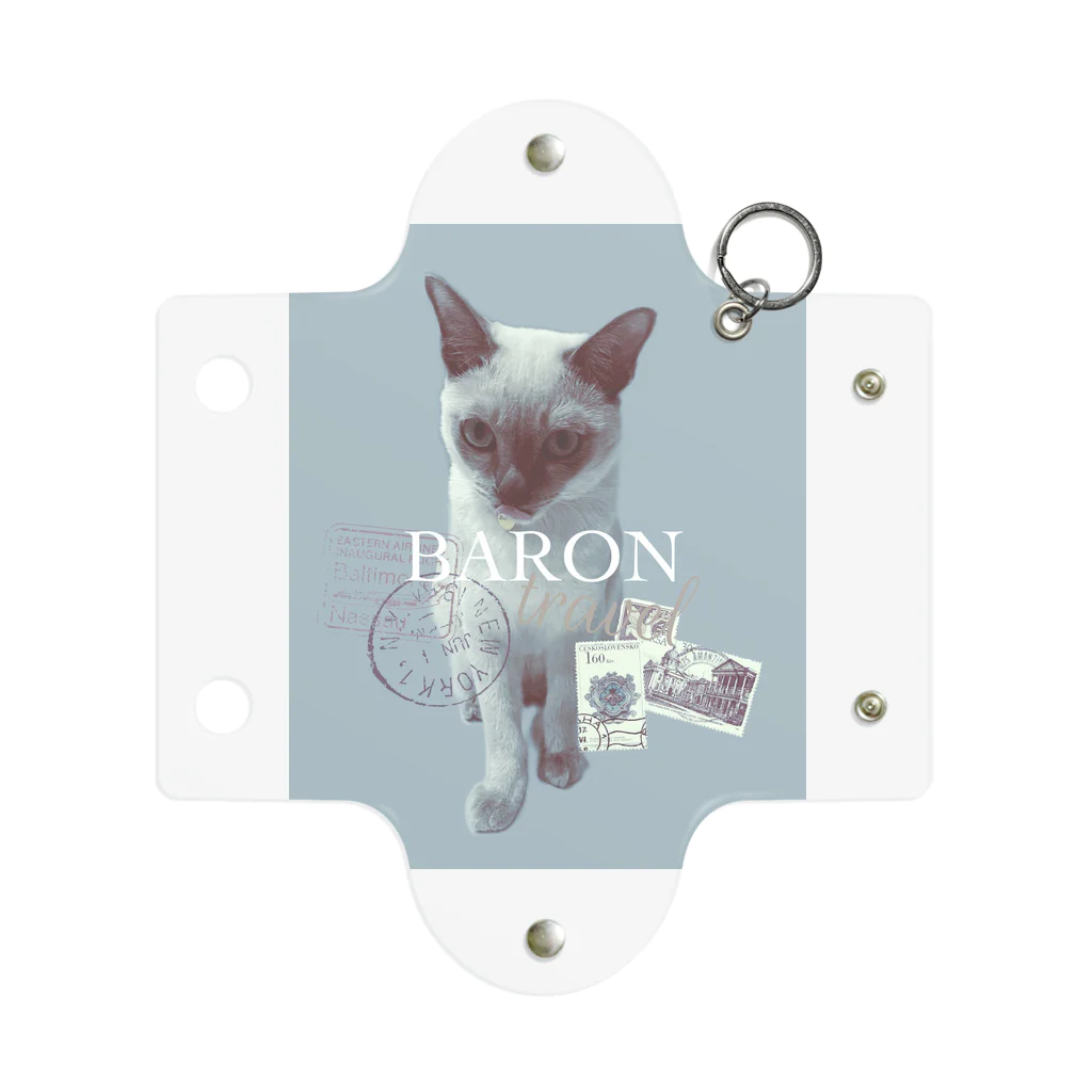 BARONのtravel antique Mini Clear Multipurpose Case