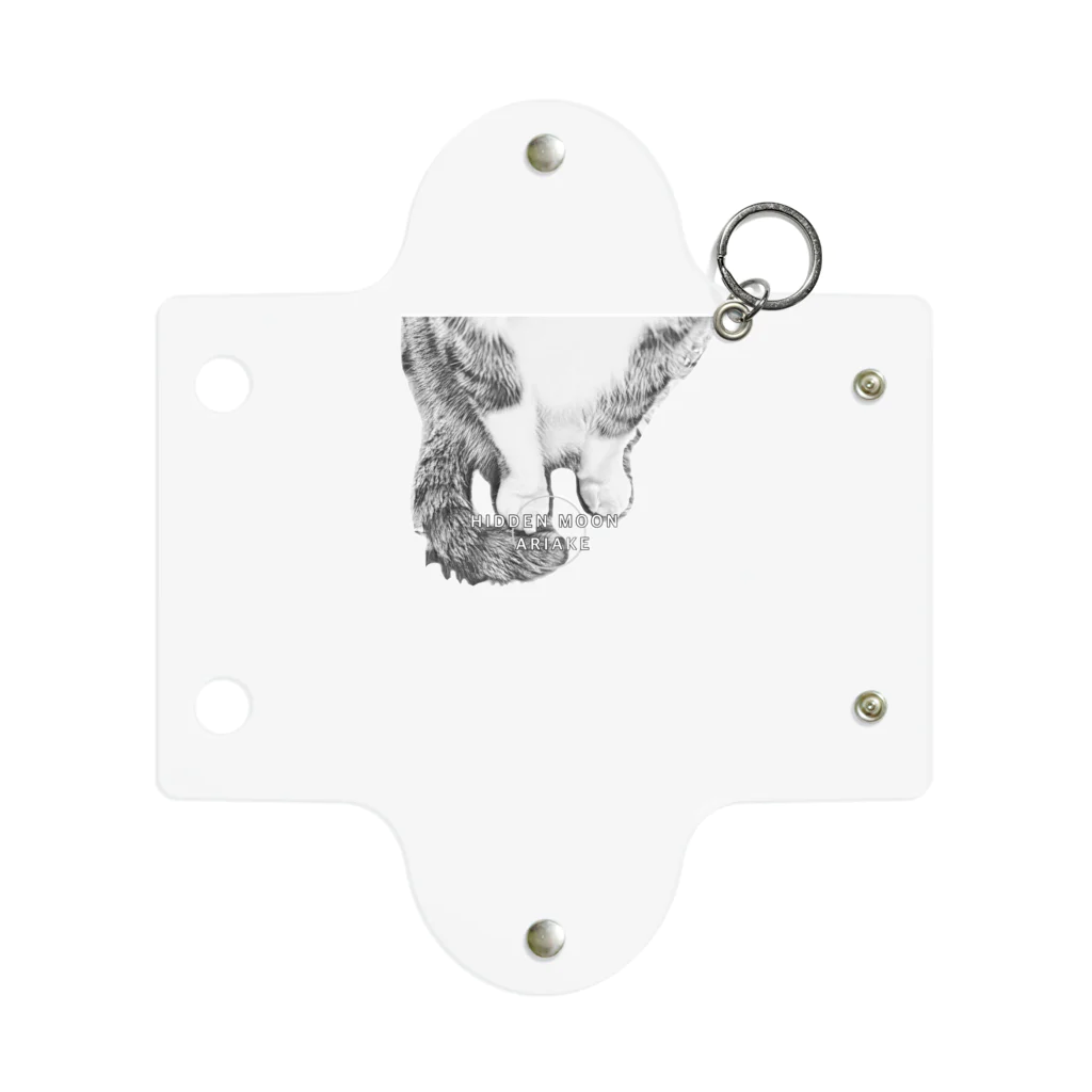 HIDDEN MOON-ARIAKEの16 Mini Clear Multipurpose Case