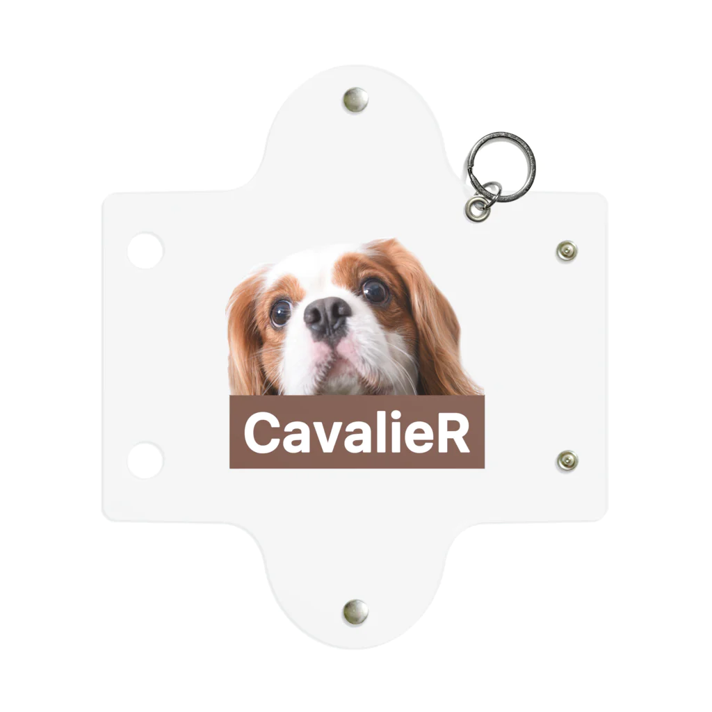 CavalieR【キャバリアール】のCavalieR キャバリア ミニクリアマルチケース