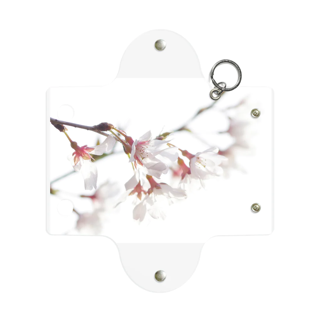 zzmatsudaの春の訪れを告げる美しい桜の花びら ミニクリアマルチケース