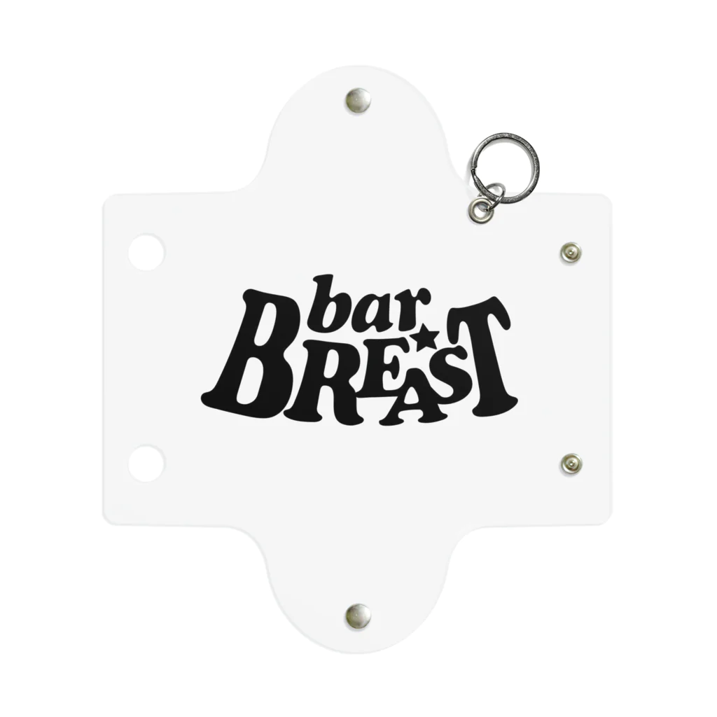 BREASTのBREAST Mini Clear Multipurpose Case