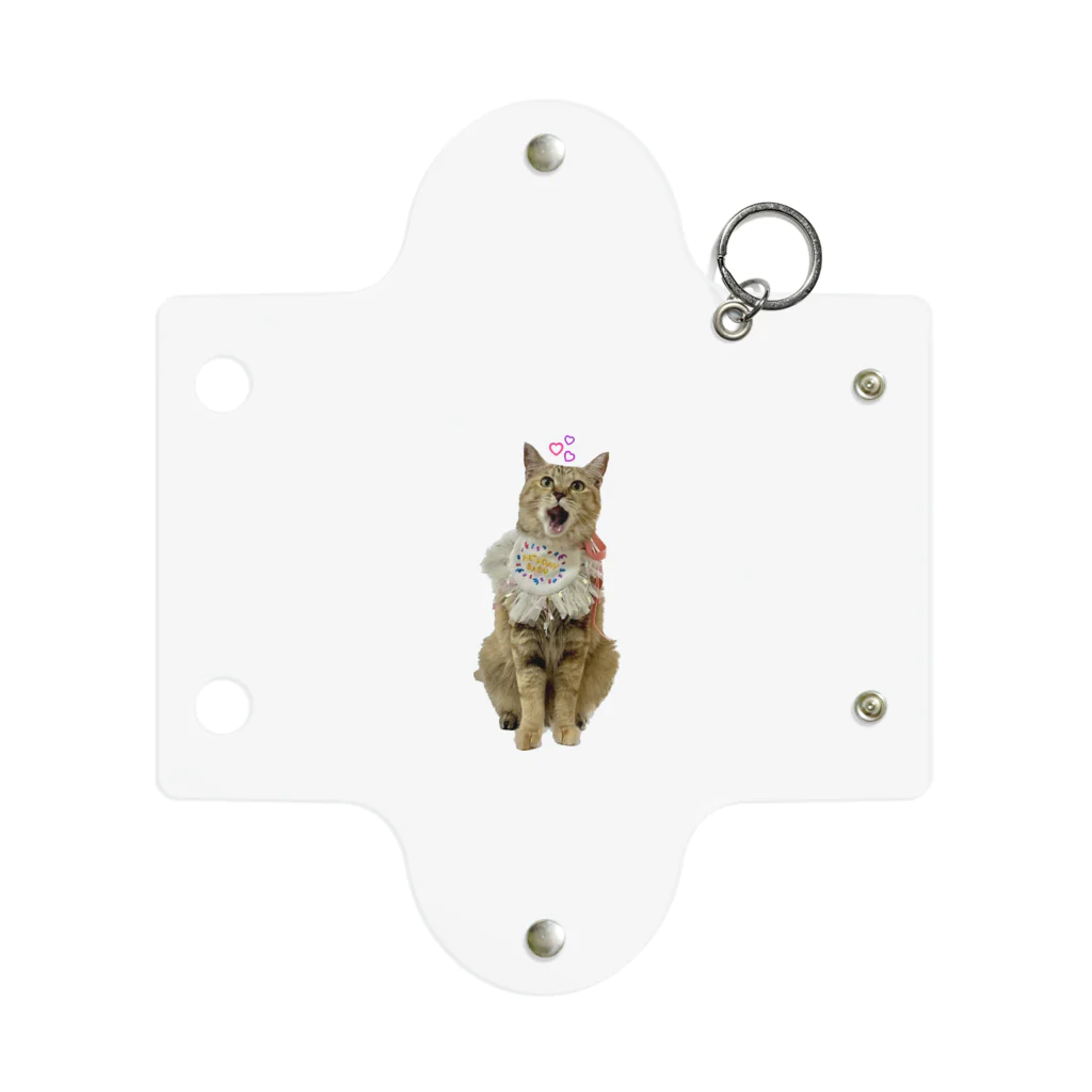 ねこのこねのねこのこねちゃん Mini Clear Multipurpose Case