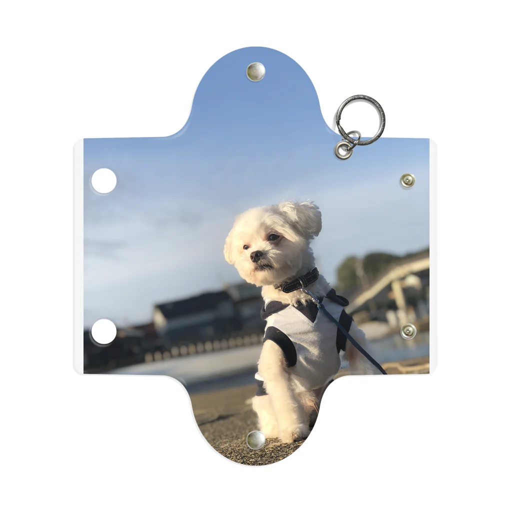 Doggyman_bowwowのエモまるくん Mini Clear Multipurpose Case