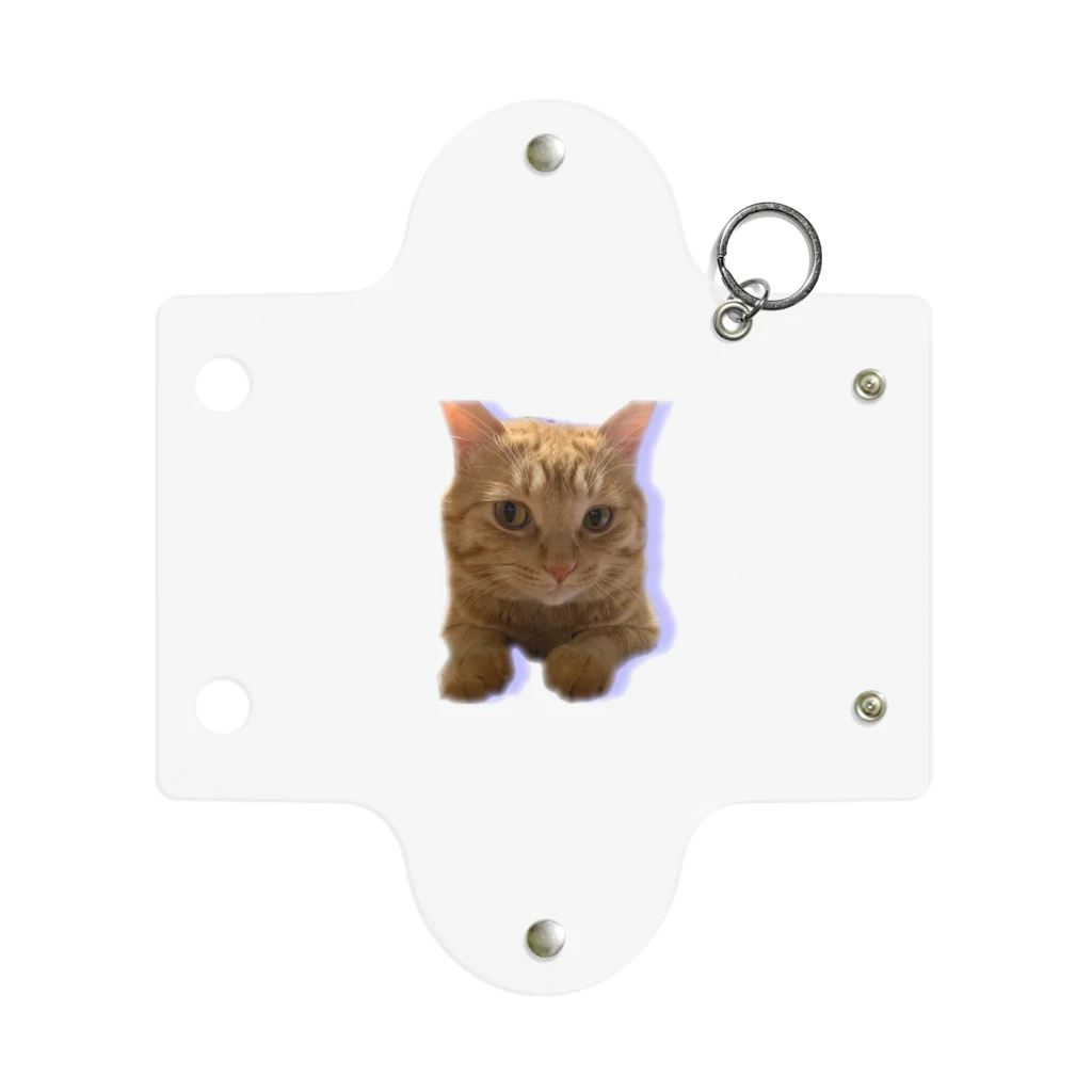 めんけ猫。の我が家の猫くんです。 Mini Clear Multipurpose Case