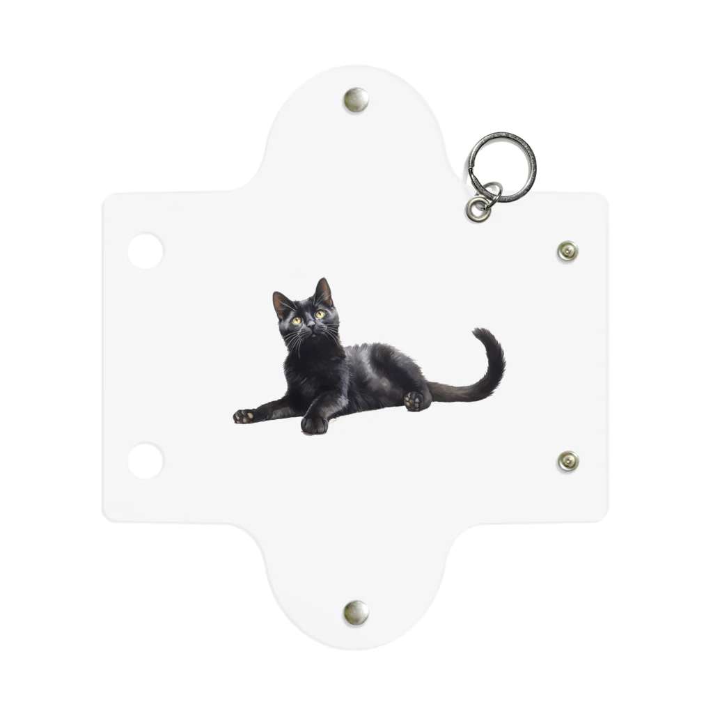 日向ぼっこの黒猫ちも Mini Clear Multipurpose Case