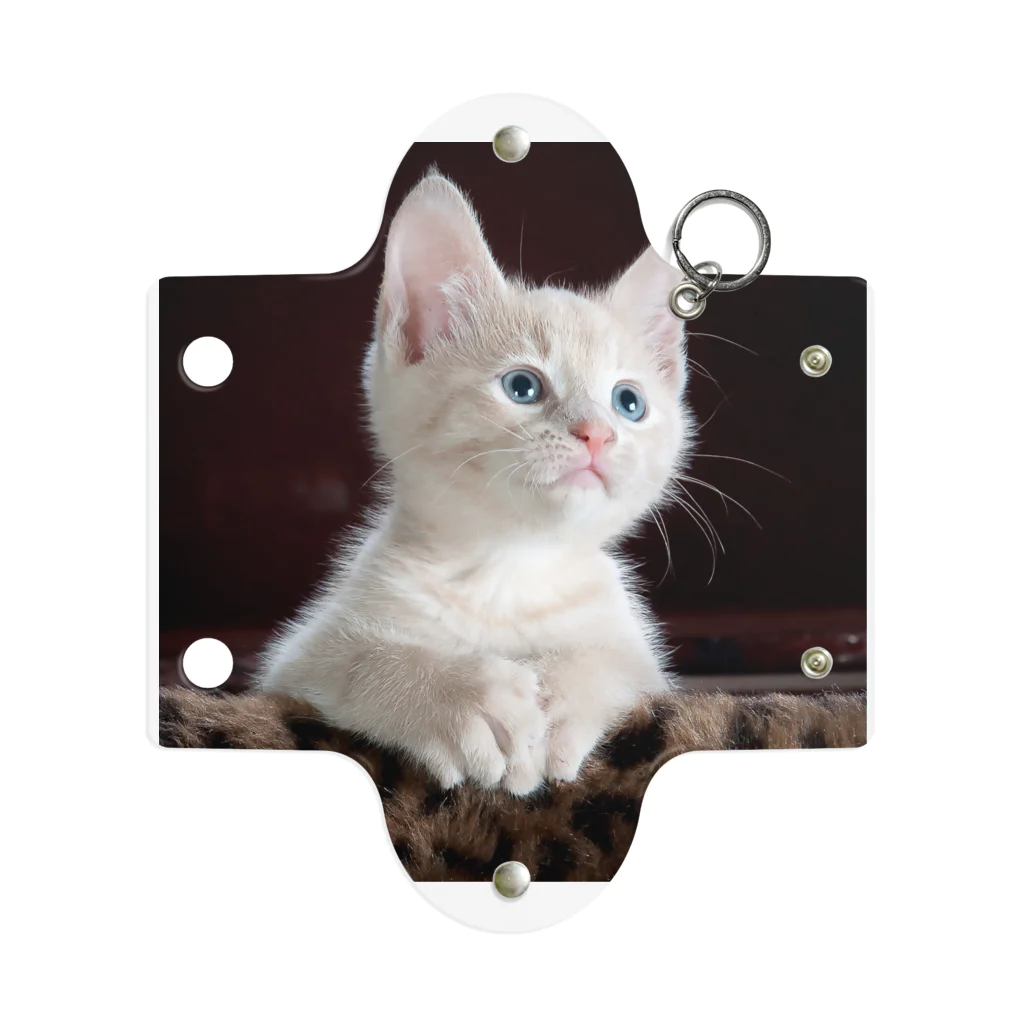 可愛い動物の猫 Mini Clear Multipurpose Case