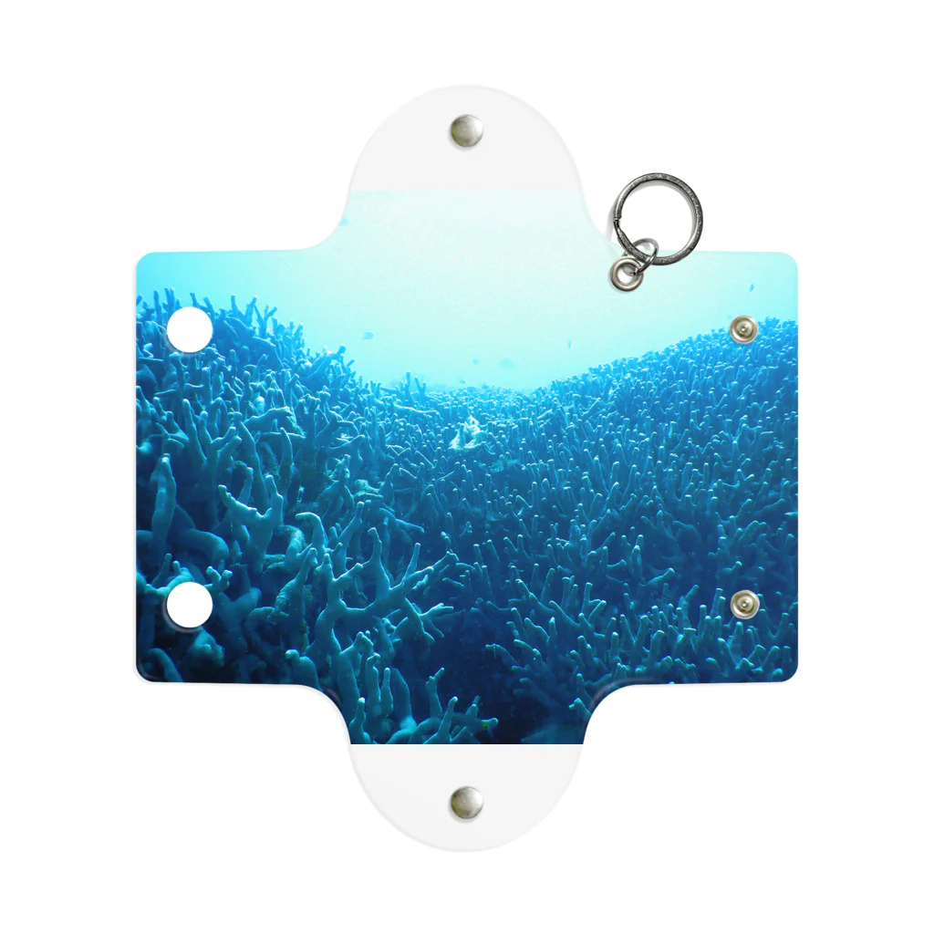 umin0nakaの青い珊瑚礁 ミニクリアマルチケース